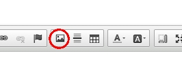This is the button to press